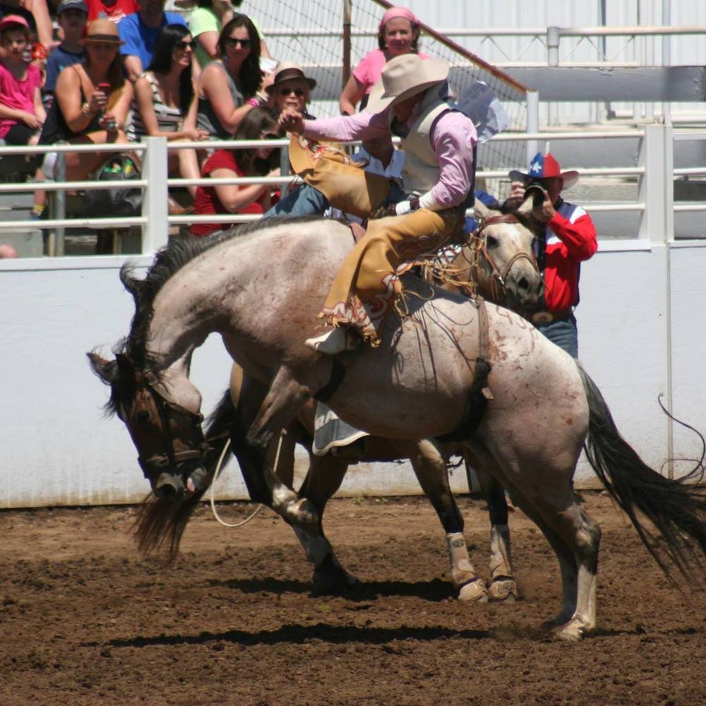 Meet your Posher, Chloe bell